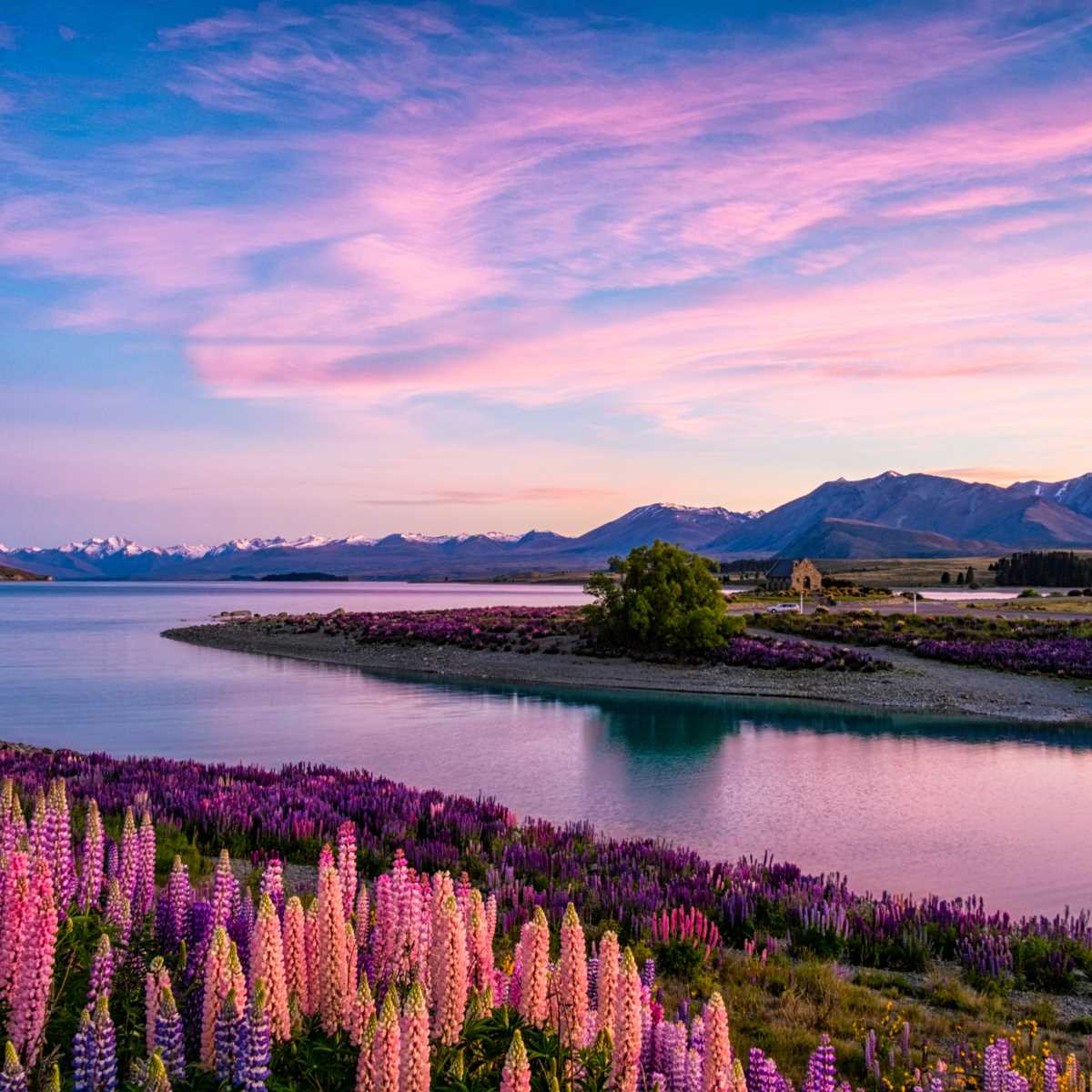 Viaggi Organizzati Nuova Zelanda