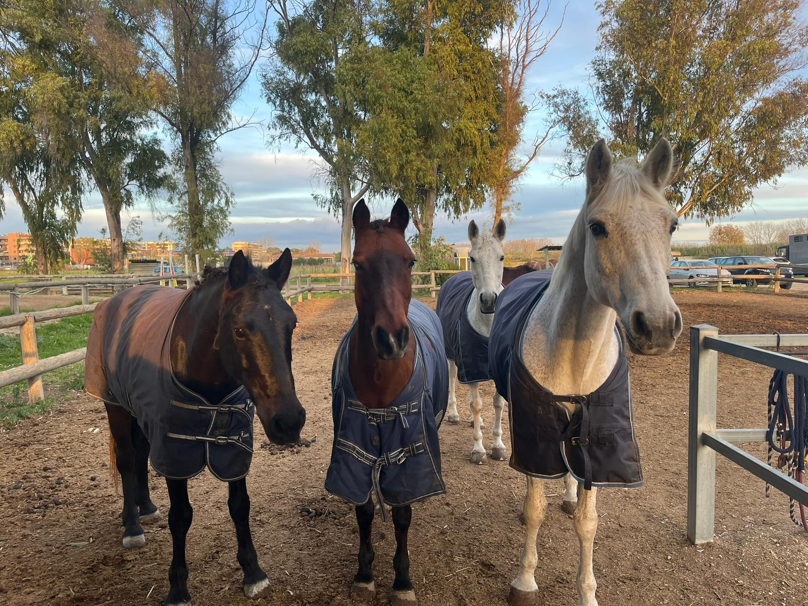 9c133034-77e2-4360-857b-b0f343aa93c8