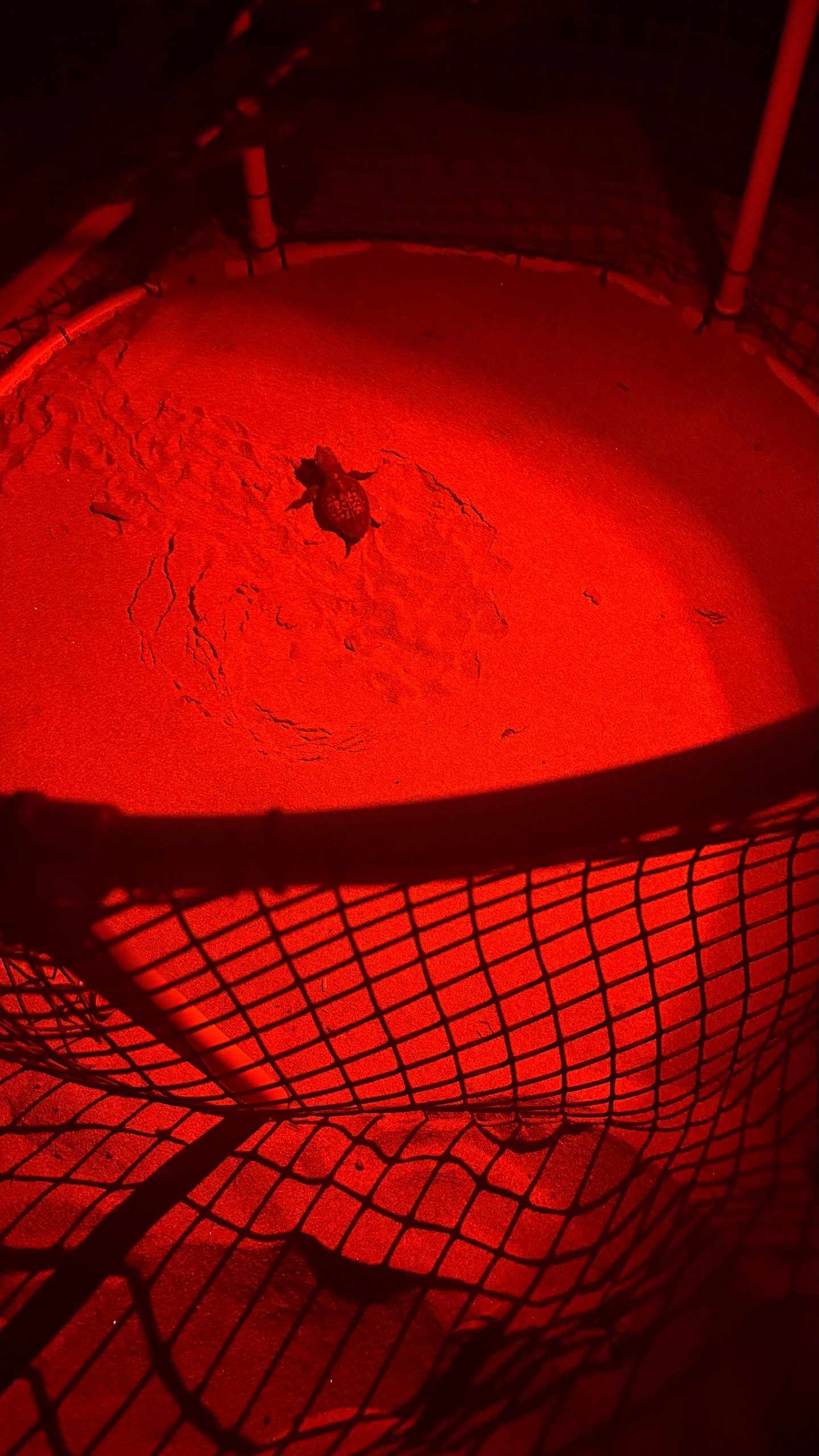 WhatsApp Image 2025-08-07 at 15.49.15