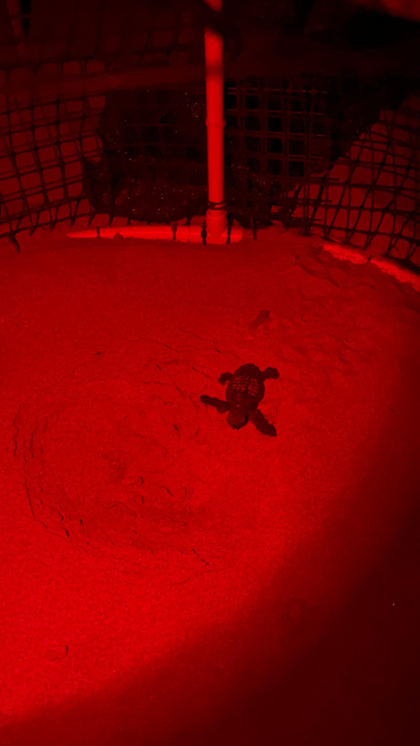 WhatsApp Image 2025-08-07 at 15.49.17