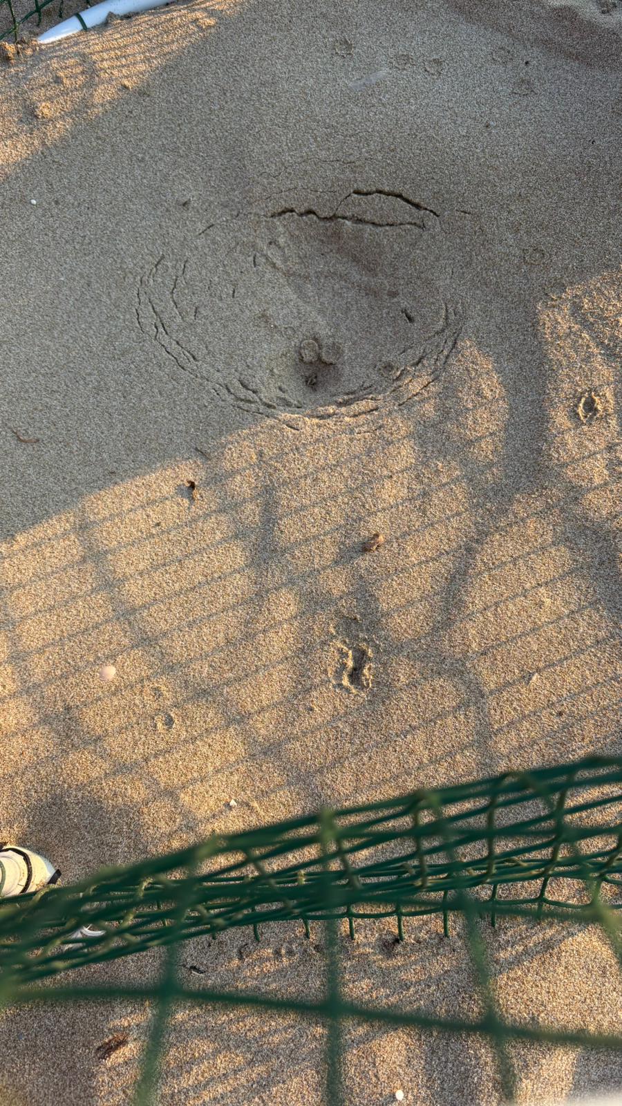 WhatsApp Image 2025-08-07 at 15.49.18 (1)