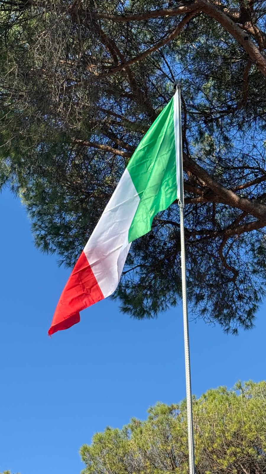 WhatsApp Image 2025-11-12 at 13.17.12 (2)