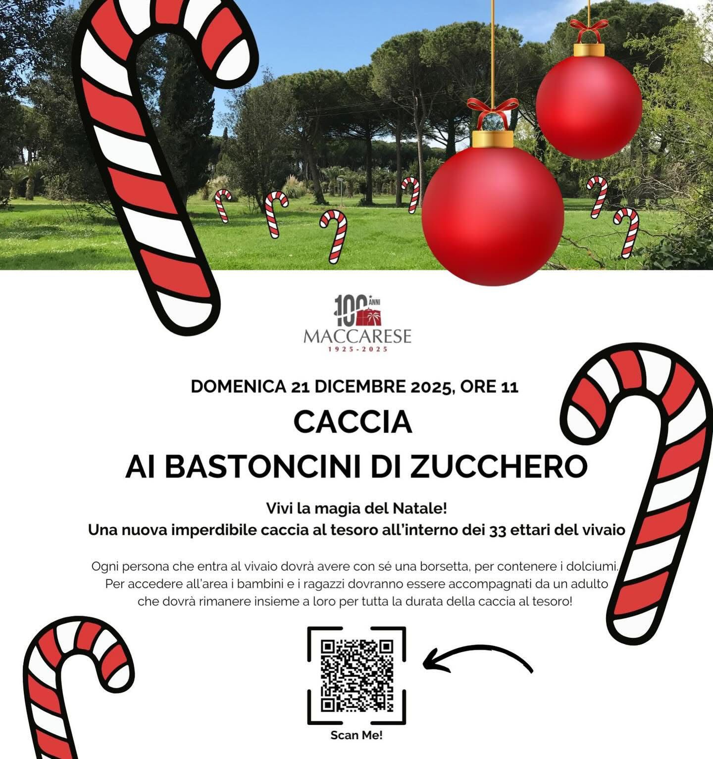 WhatsApp Image 2025-12-16 at 16.13.09