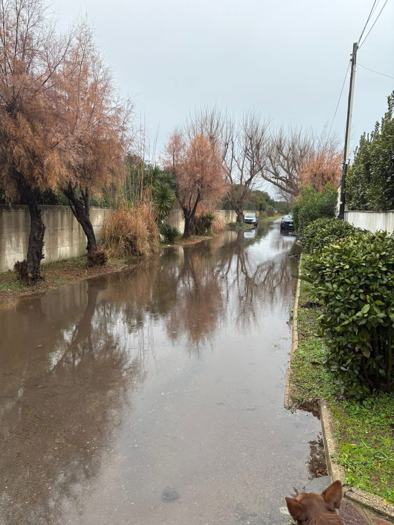 WhatsApp Image 2025-12-25 at 16.14.03