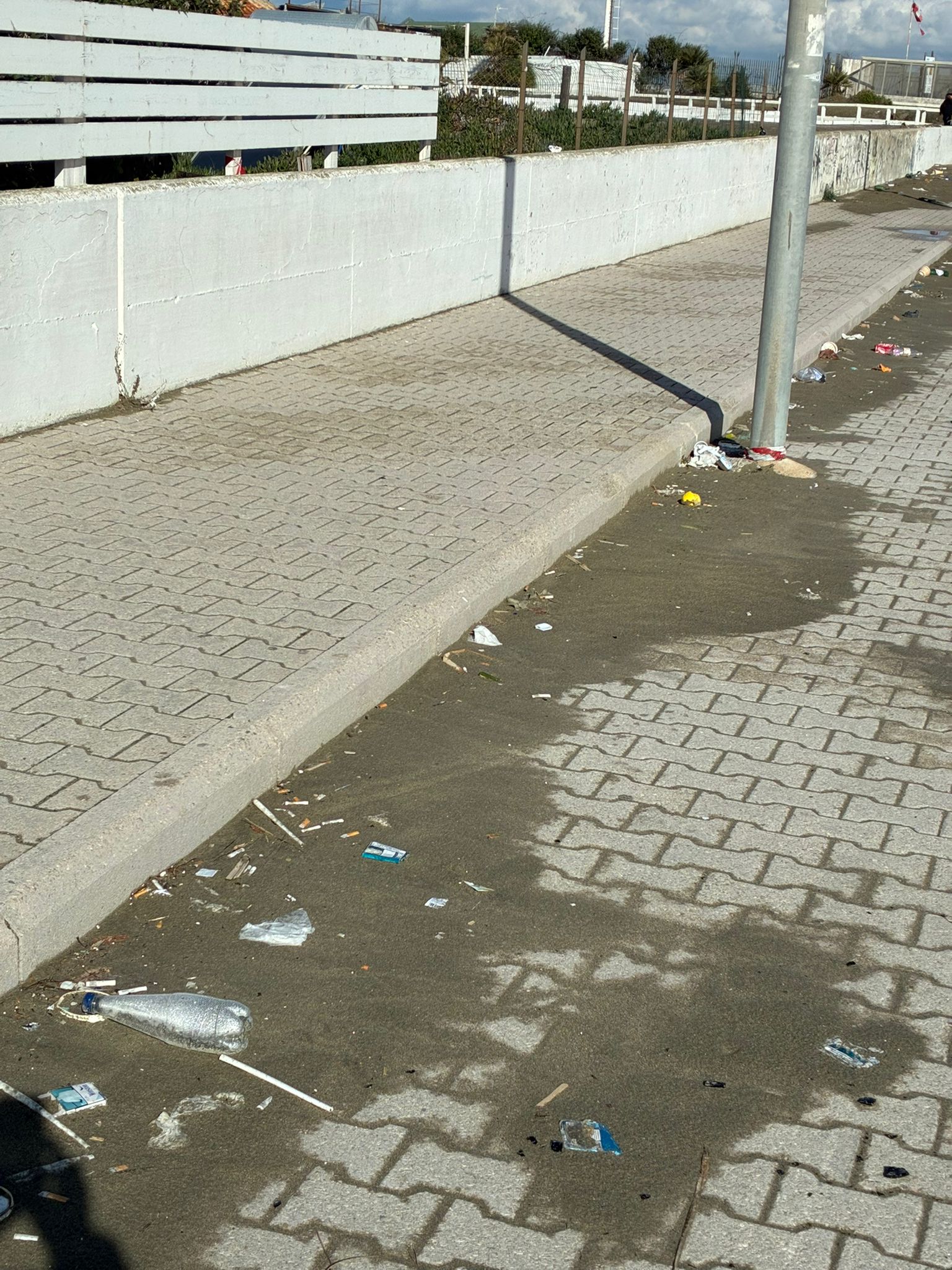 WhatsApp Image 2026-02-15 at 11.12.30-2