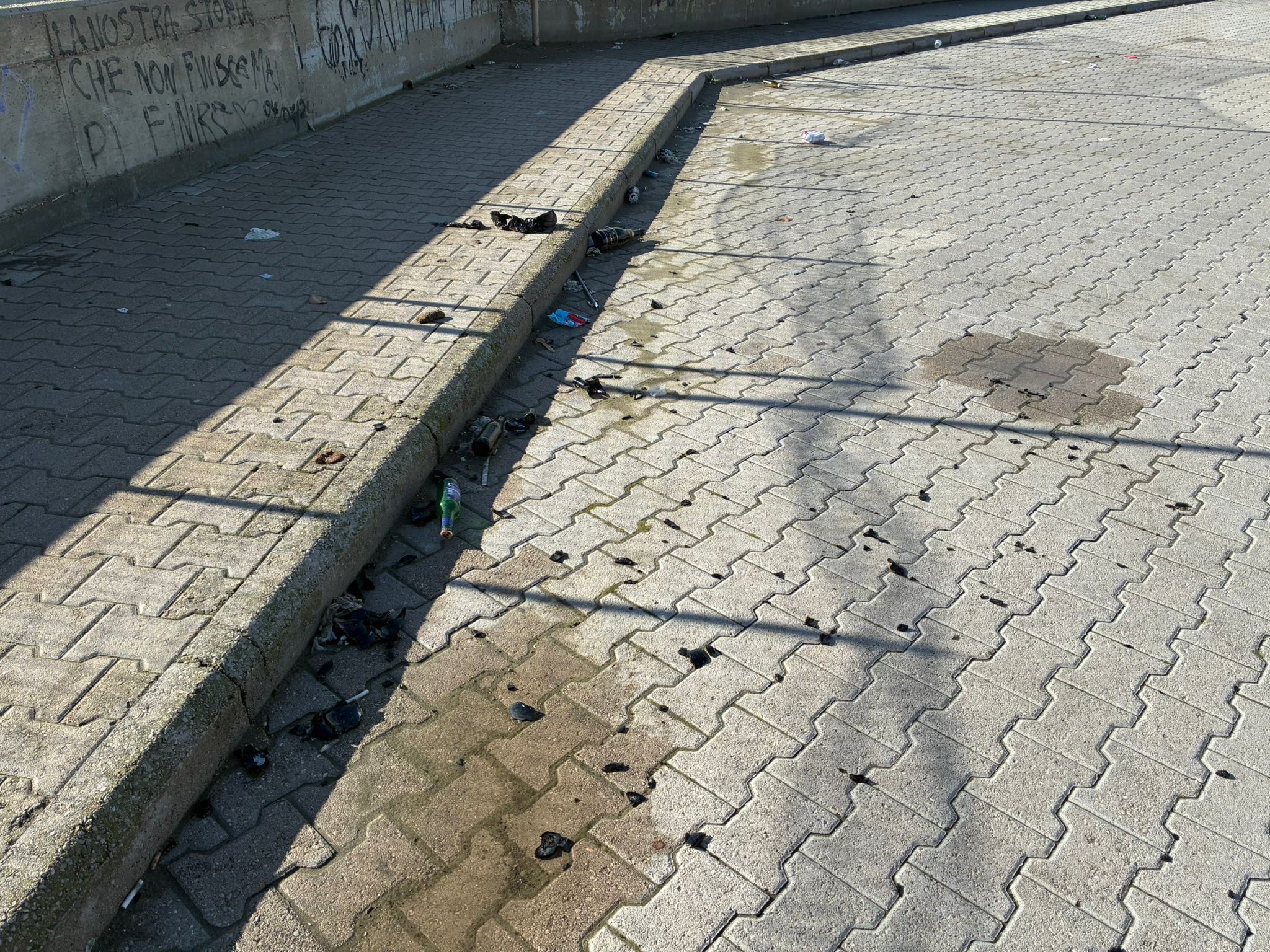 WhatsApp Image 2026-02-15 at 11.12.30