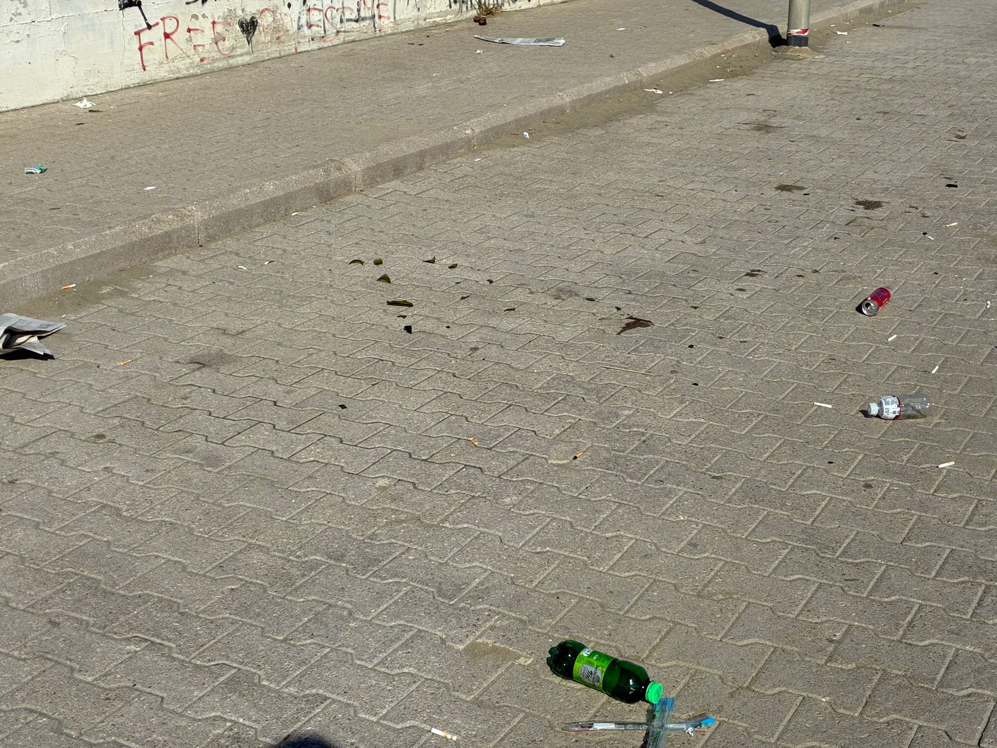 WhatsApp Image 2026-02-26 at 10.54.05