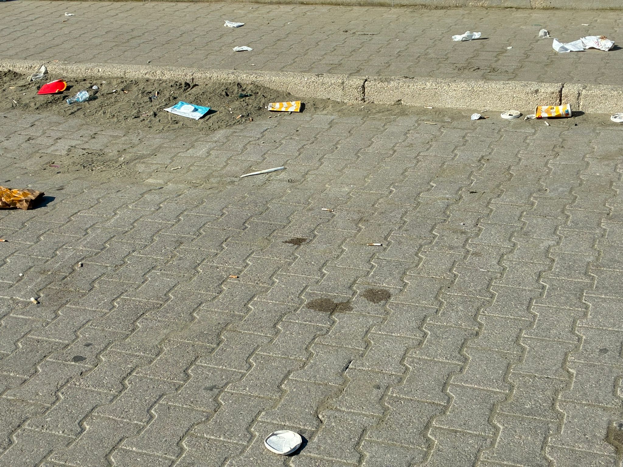 WhatsApp Image 2026-02-26 at 10.54.11