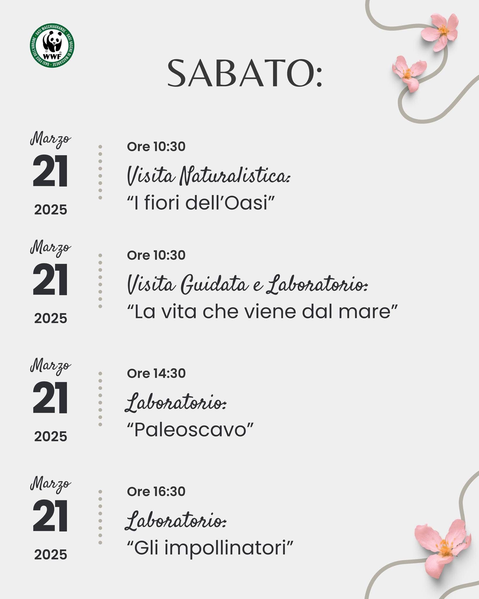 WhatsApp Image 2026-03-16 at 10.16.07