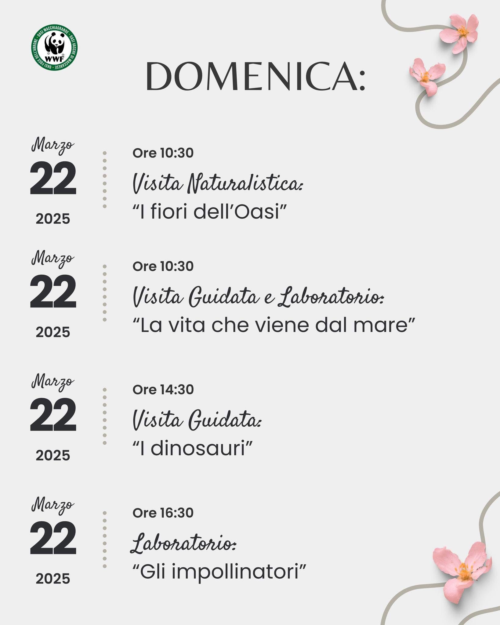 WhatsApp Image 2026-03-16 at 10.16.12