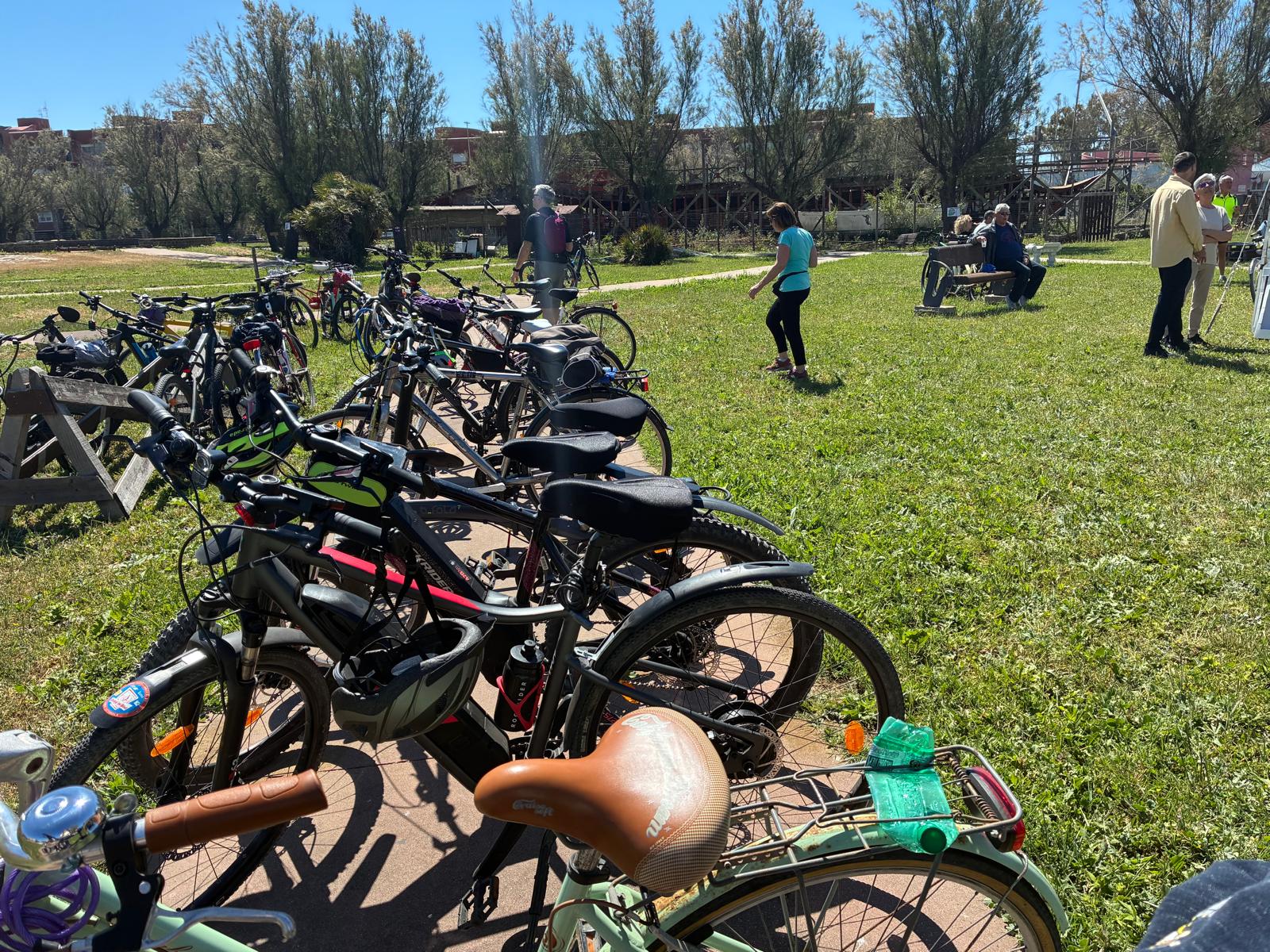 WhatsApp Image 2026-04-26 at 12.17.35