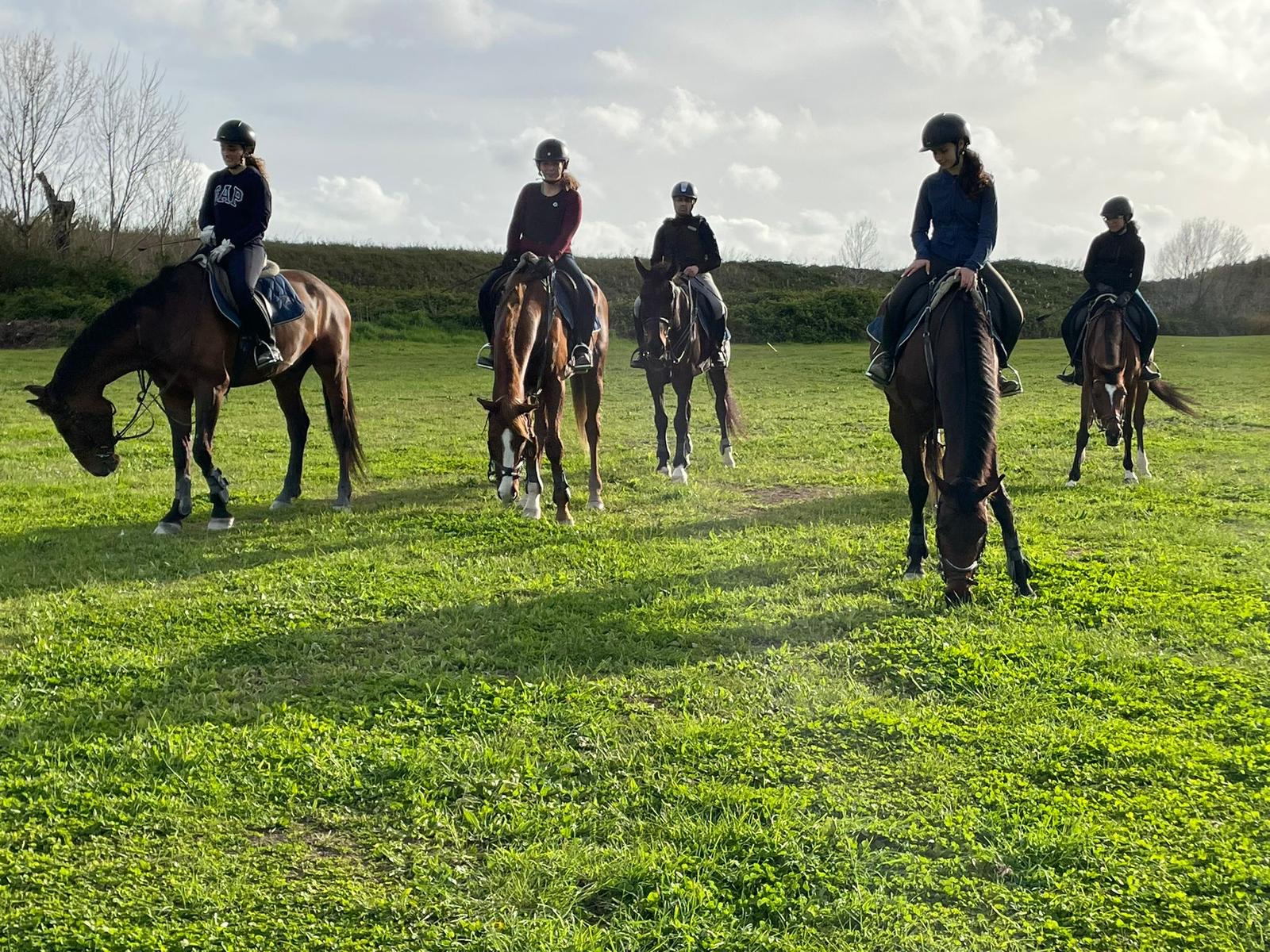 d2f379ad-08a9-43f2-9b96-1f573184f28e