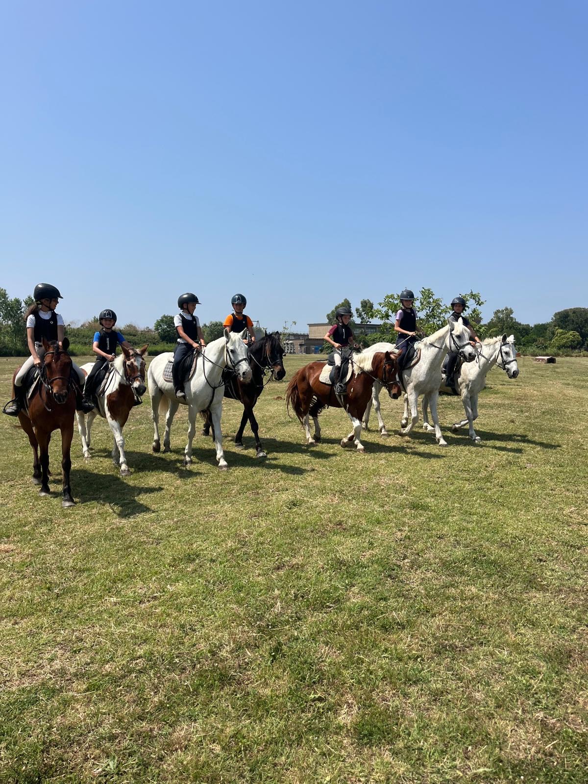 ffdce54d-e3af-4188-86bf-d47754cdb207