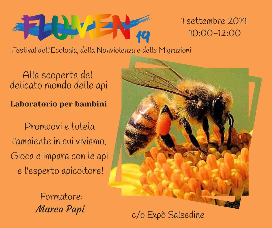 festival20