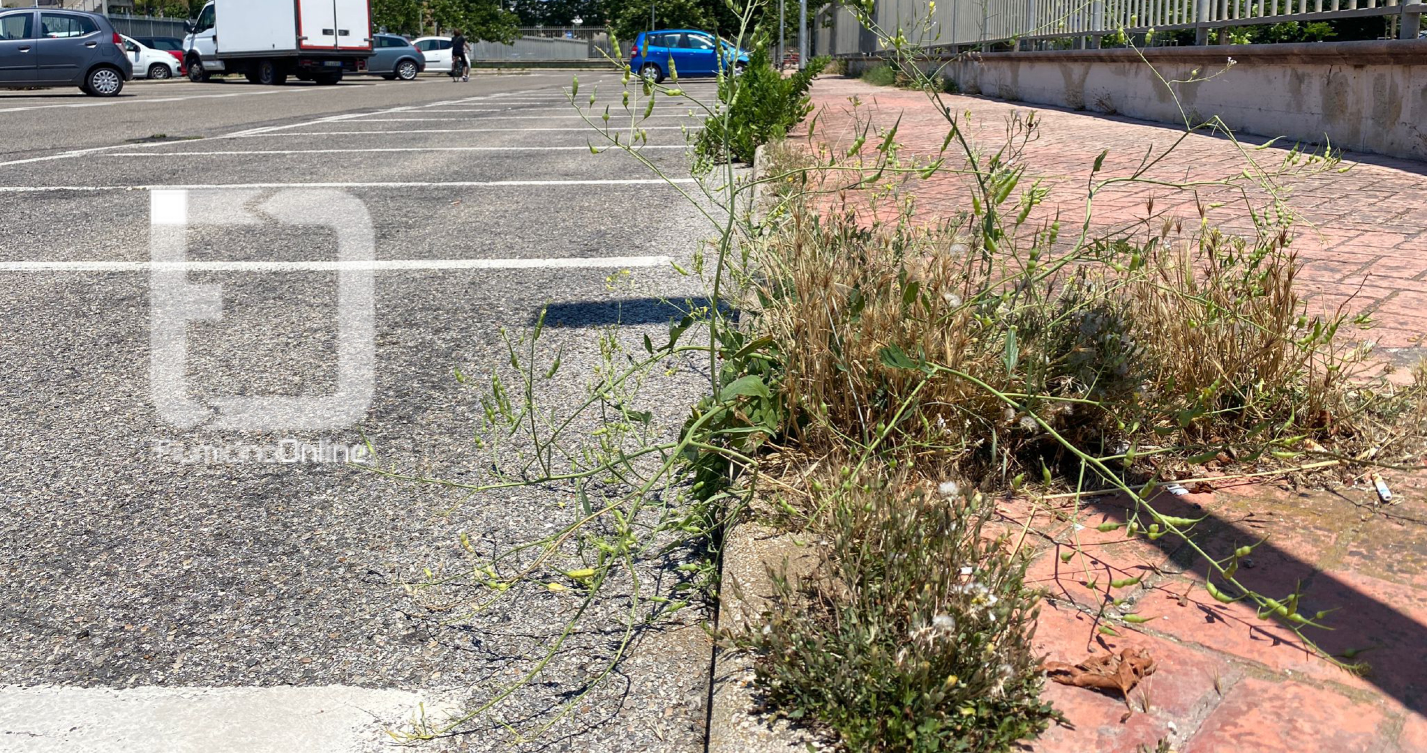 o_1f8anil7p10h5ssidr71ar41k6gh