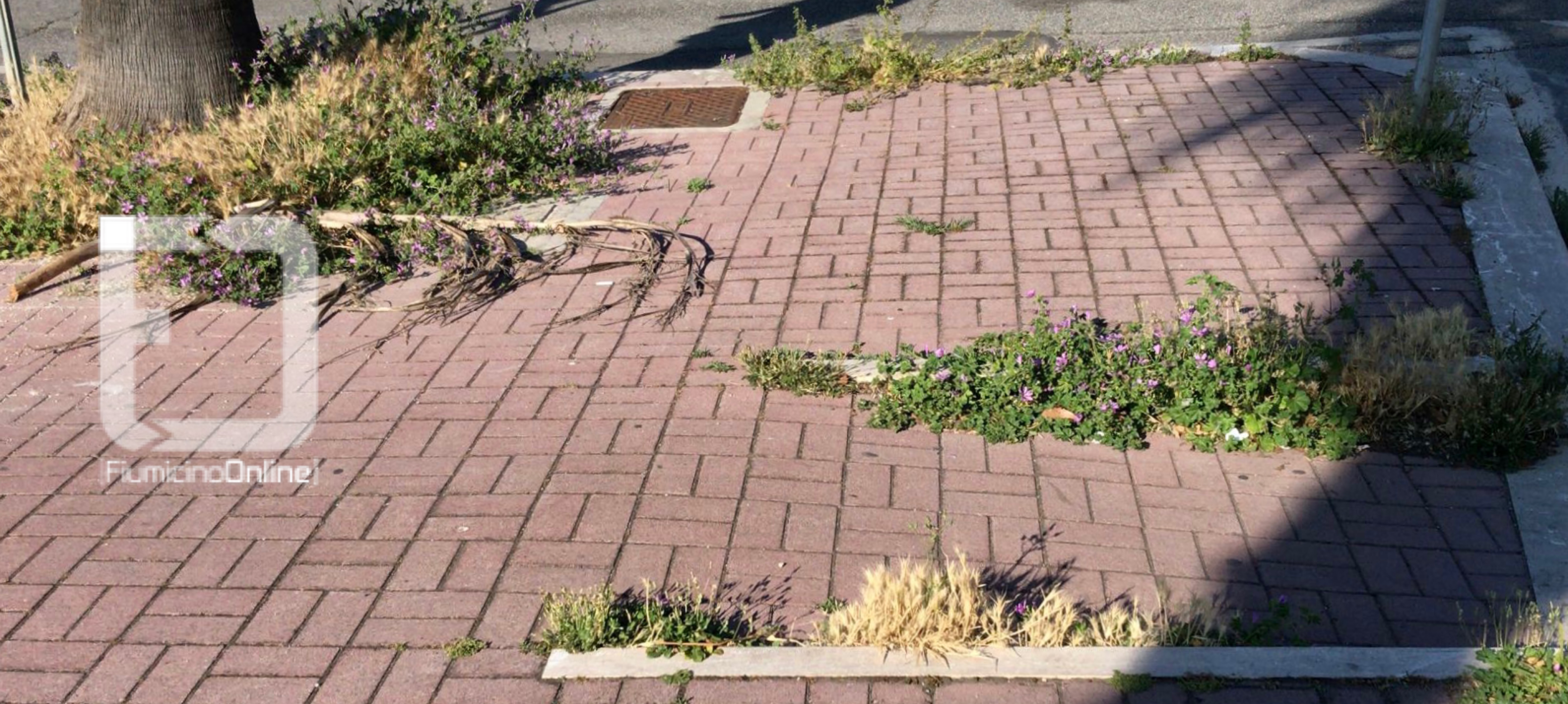 o_1f8anil7p146hr581mrc431vqbi