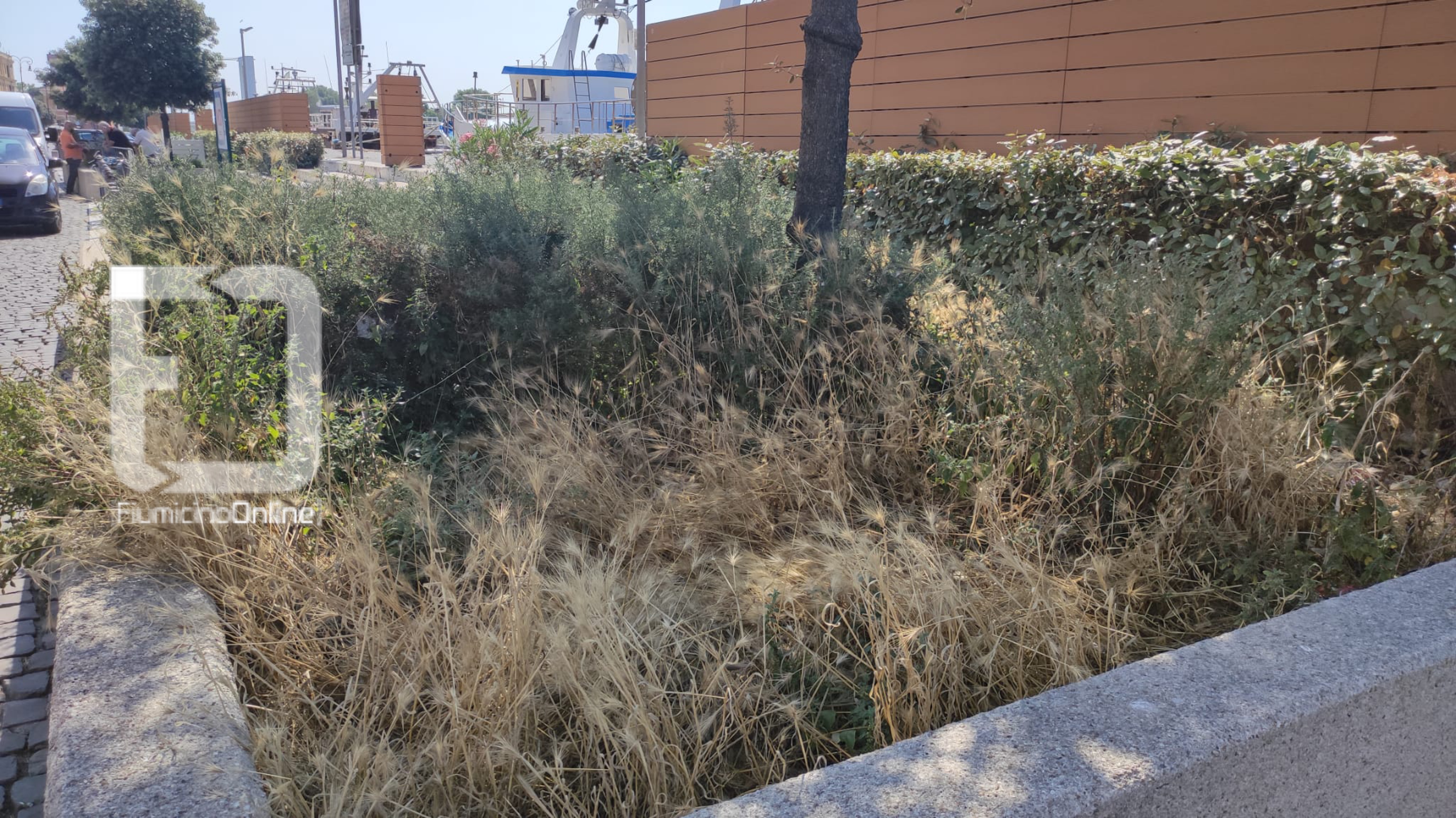 o_1f8anil7p9k0mv5fh21bil8tcj