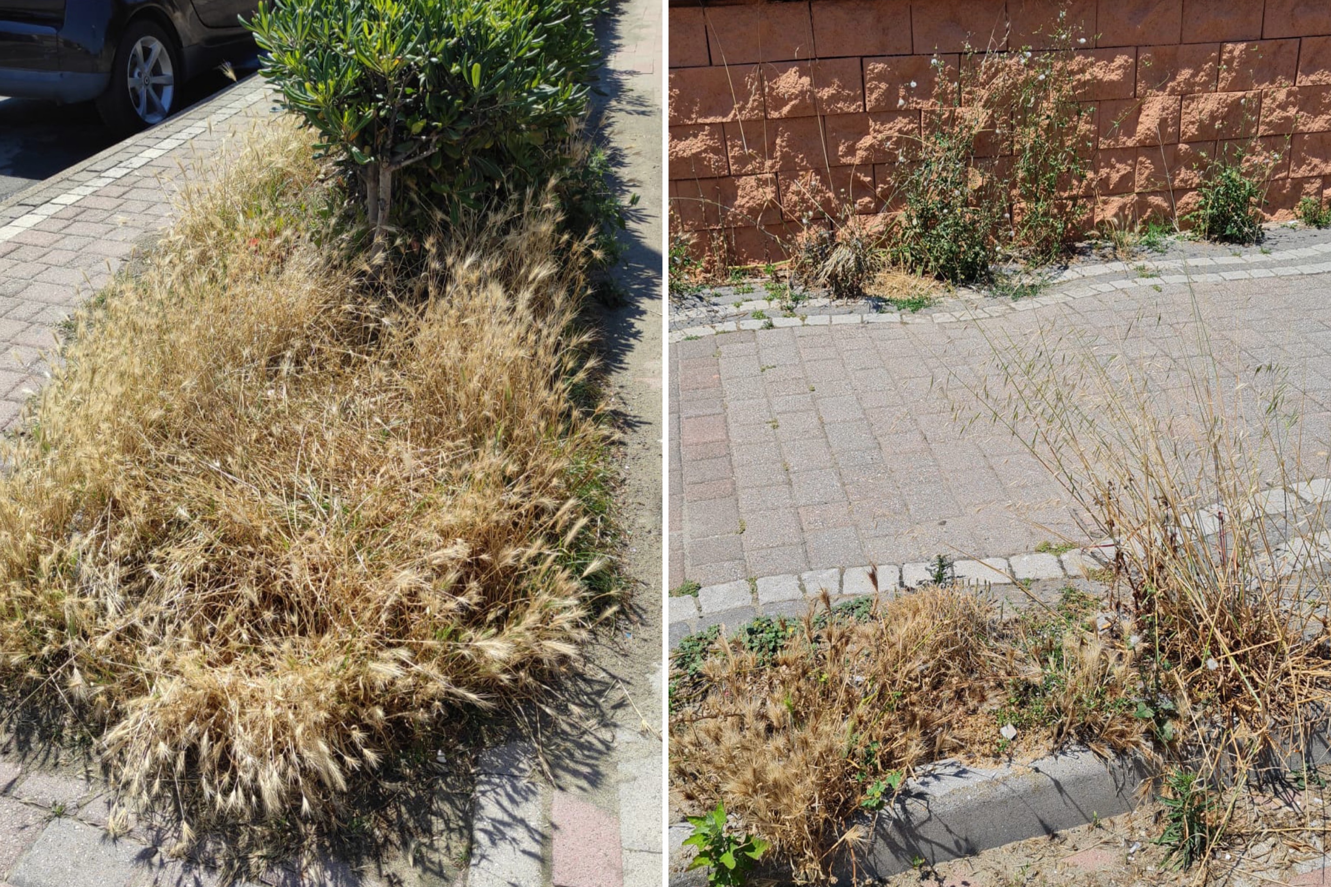 o_1f8anil7pgamur1onvtur1pcck