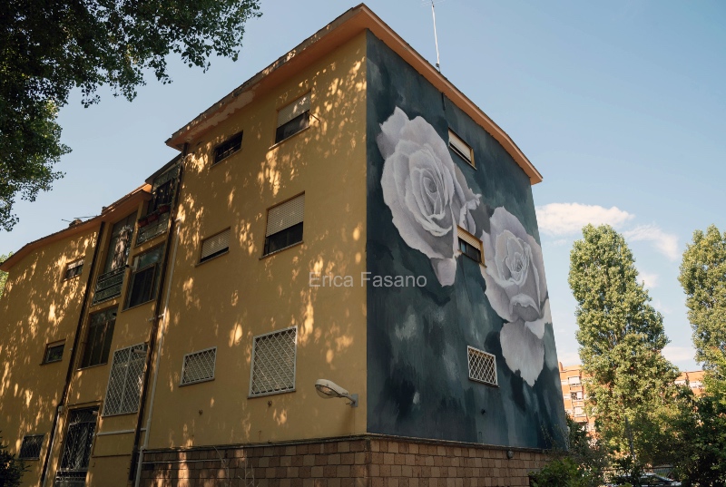 murales_fco